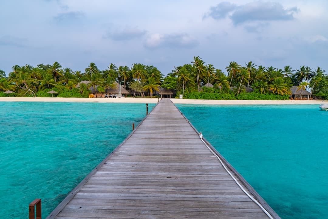 découvrez les merveilles des îles : paysages paradisiaques, plages de sable fin et cultures uniques. plongez dans une aventure inoubliable au cœur des eaux turquoise et explorez des destinations de rêve.