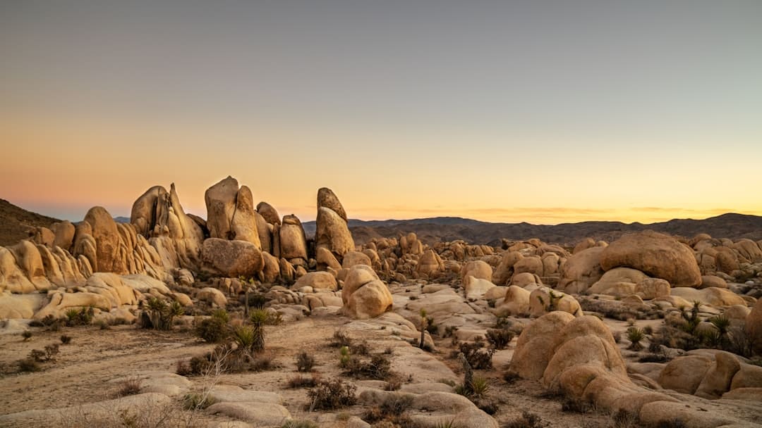 découvrez joshua tree national park, un joyau de la nature en californie, où des paysages désertiques époustouflants, des formations rocheuses uniques et des arbres de josué emblématiques vous attendent. parfait pour les amoureux de la randonnée, de l'escalade et de la photographie, ce parc offre une expérience inoubliable d'évasion en plein air.