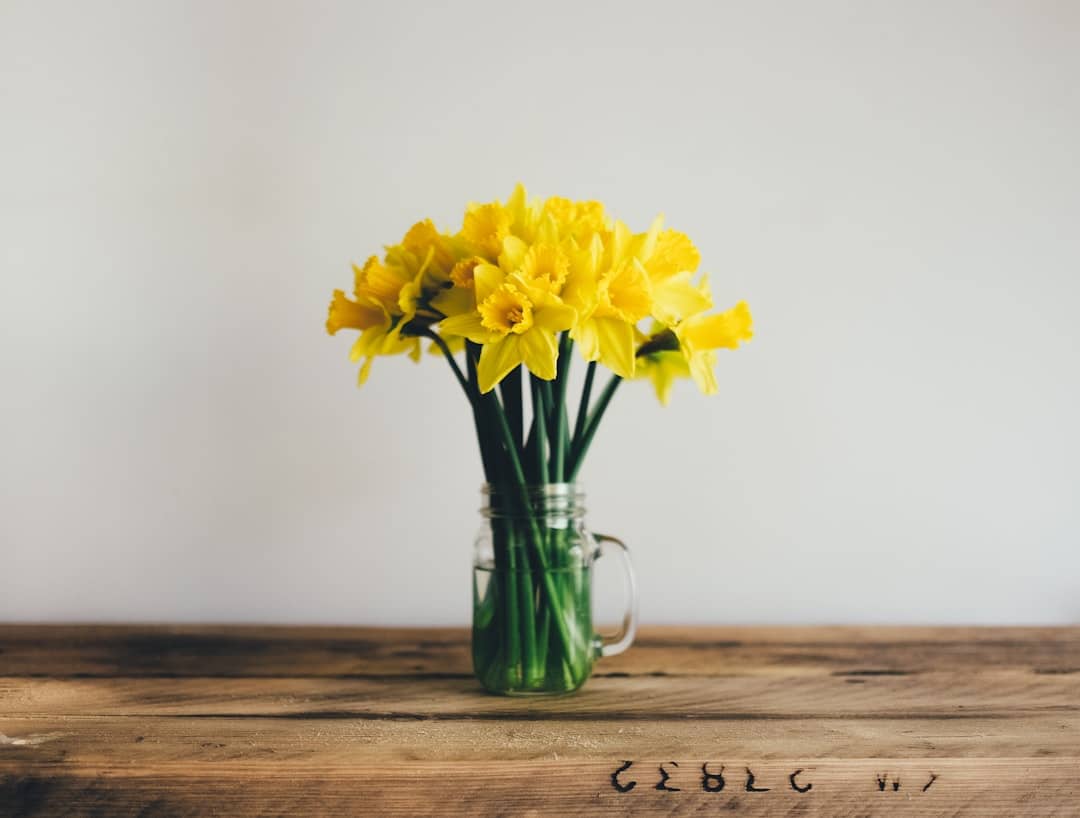 découvrez le printemps, une saison de renouveau et de beauté, où la nature s’éveille avec des fleurs épanouies, des journées ensoleillées et des moments de joie en plein air. profitez des activités printanières et savourez chaque instant de cette période magique.