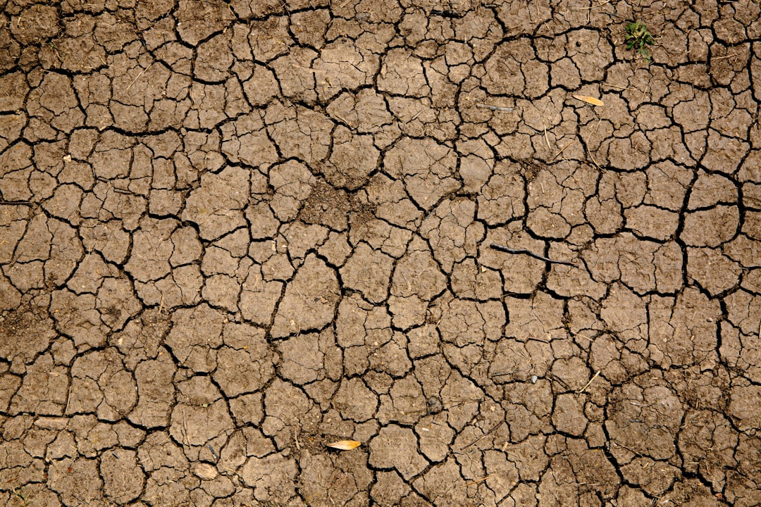 découvrez les enjeux et les impacts de la sécheresse sur l'environnement et l'agriculture. informez-vous sur les solutions et les stratégies pour faire face à ce phénomène climatique croissant.
