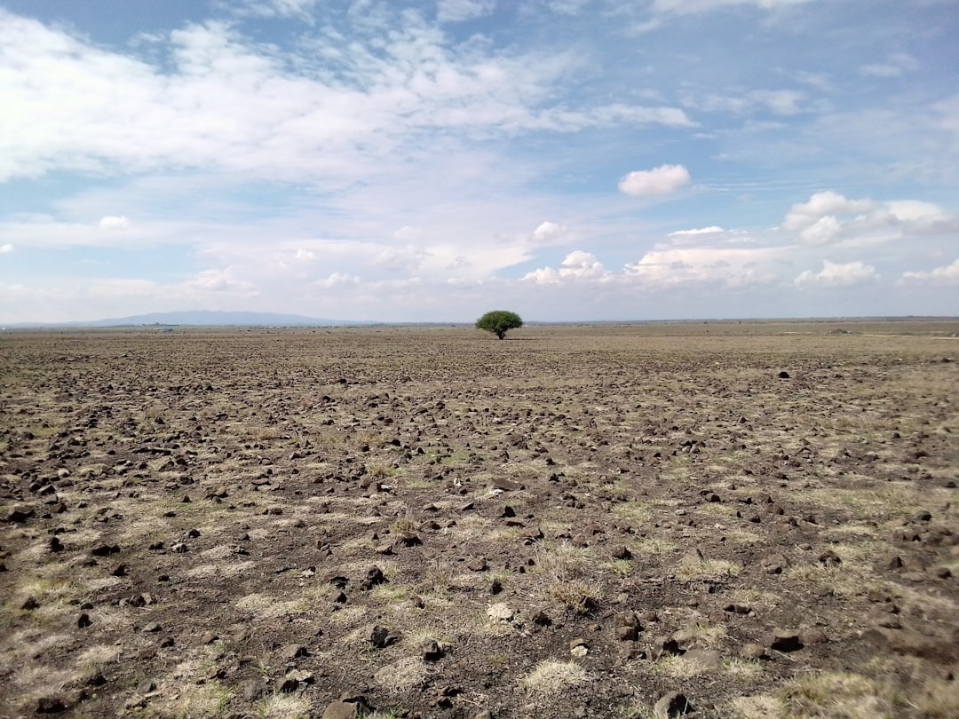 découvrez les impacts de la sécheresse sur l'environnement, l'agriculture et les ressources en eau. apprenez comment cette crise climatique affecte nos écosystèmes et les mesures à prendre pour y faire face.