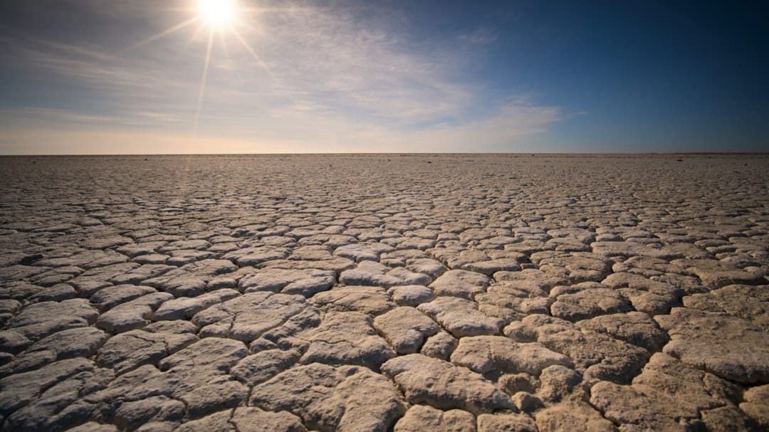 découvrez les impacts de la sécheresse sur l'environnement, l'agriculture et nos vies quotidiennes. apprenez des stratégies pour s'adapter à ce phénomène croissant et les initiatives prises pour protéger nos ressources en eau.