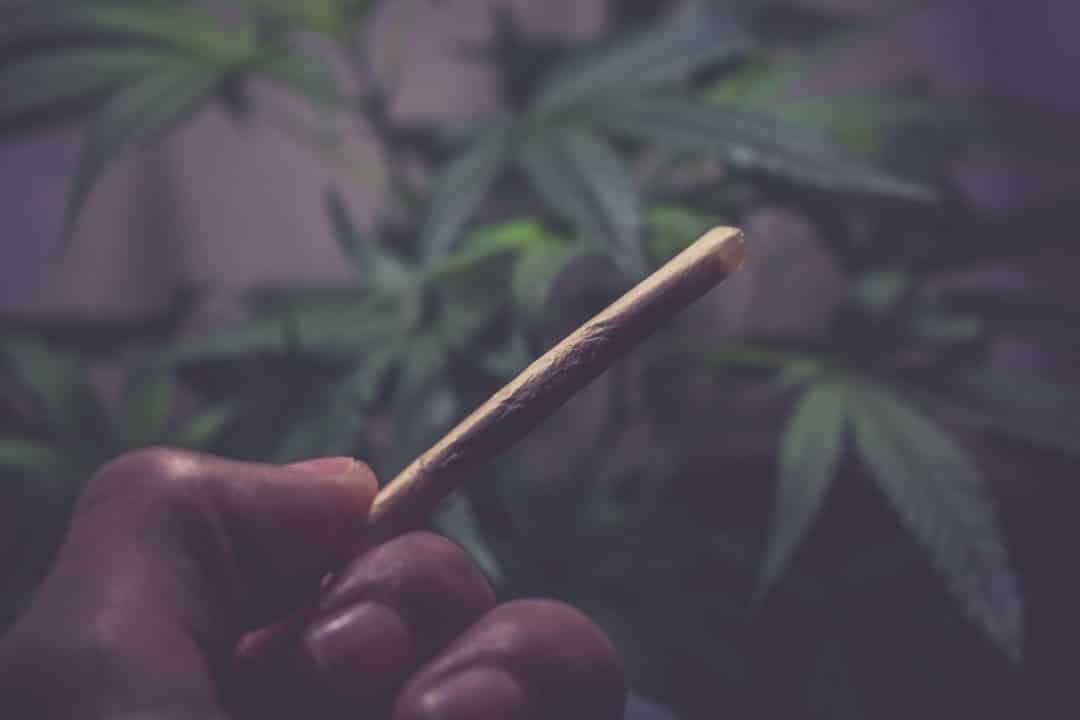 découvrez les enjeux et les implications de la légalisation du cannabis en france. explorez les avantages, les défis et les perspectives d'une régulation planifiée qui transforme le paysage social et économique.