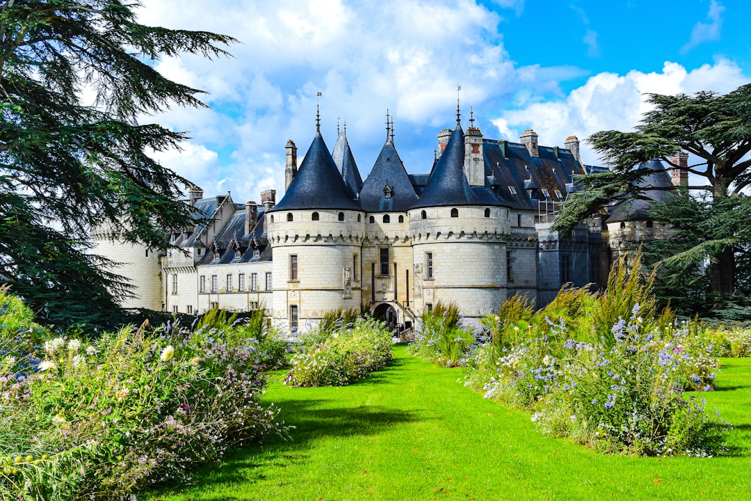découvrez la vallée de la loire, un véritable trésor de la culture française, célèbre pour ses châteaux majestueux, ses paysages enchanteurs et sa gastronomie raffinée. partez à la rencontre d'une région riche en histoire et en beauté naturelle.