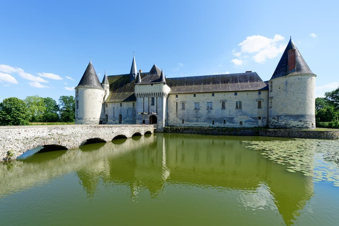 découvrez la beauté enchanteur de la vallée de la loire, un patrimoine mondial de l'unesco, où châteaux majestueux, vignobles renommés et paysages pittoresques se rencontrent pour offrir une expérience inoubliable en france.