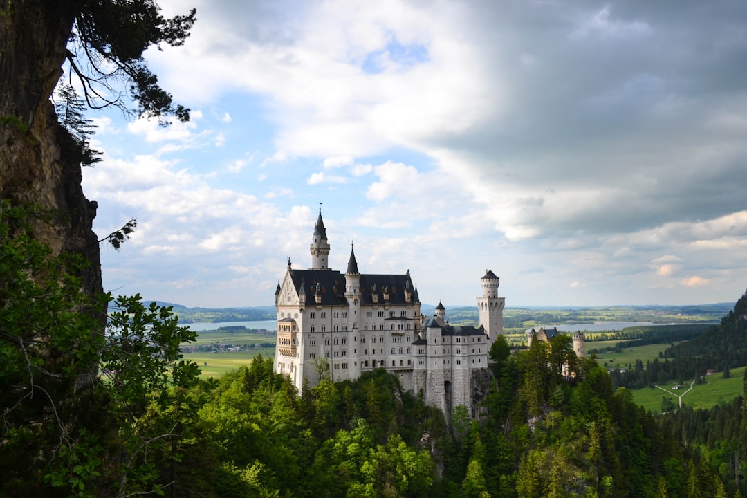 découvrez l’allemagne : un pays au cœur de l’europe, riche en histoire, culture, traditions et paysages variés. explorez ses villes dynamiques, ses châteaux majestueux et sa cuisine authentique.