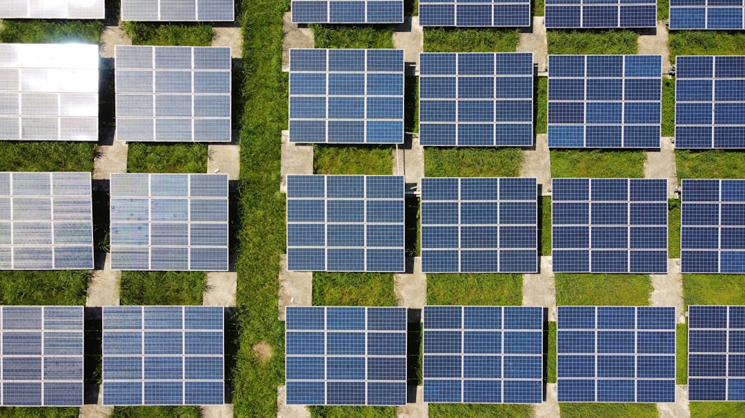 découvrez comment adopter des pratiques durables au quotidien pour préserver l’environnement, économiser les ressources et bâtir un avenir plus responsable grâce à des solutions innovantes.