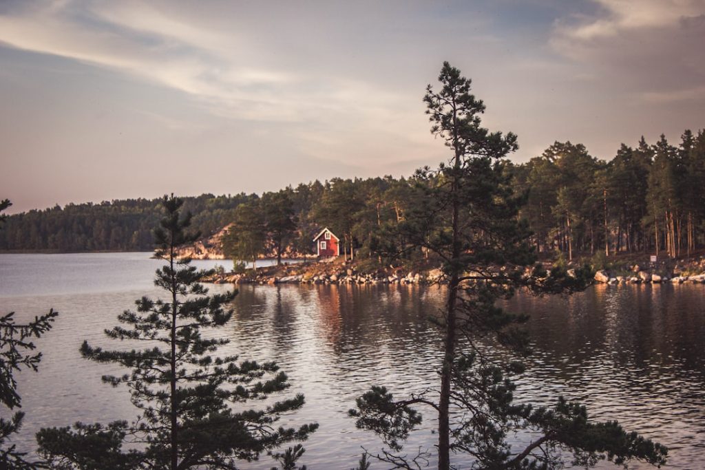 découvrez la suède, un pays aux paysages magnifiques, riche en culture, histoire, et innovation. explorez ses villes modernes, sa nature préservée et sa qualité de vie exceptionnelle.