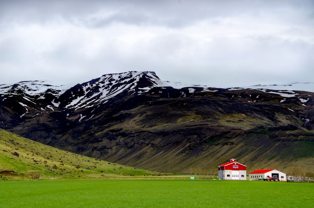 découvrez un itinéraire d'hiver en islande pour explorer ses paysages enneigés, ses aurores boréales et ses merveilles naturelles uniques.